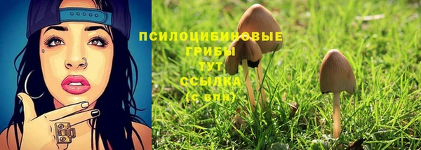 экстази Каменногорск