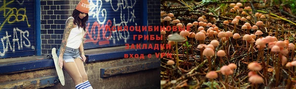 mdpv Карпинск