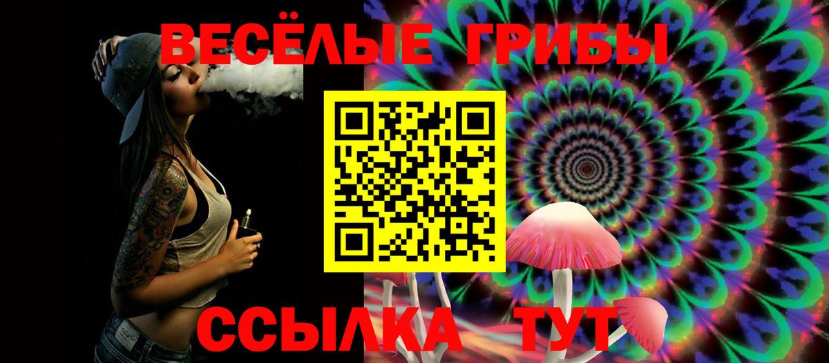 Южноуральск  Псилоцибиновые грибы ЛСД  Вход с VPN  Галлюциногенные грибы прущие грибы 