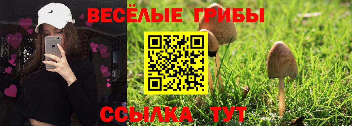 Псилоцибиновые грибы GOLDEN TEACHER Южноуральск